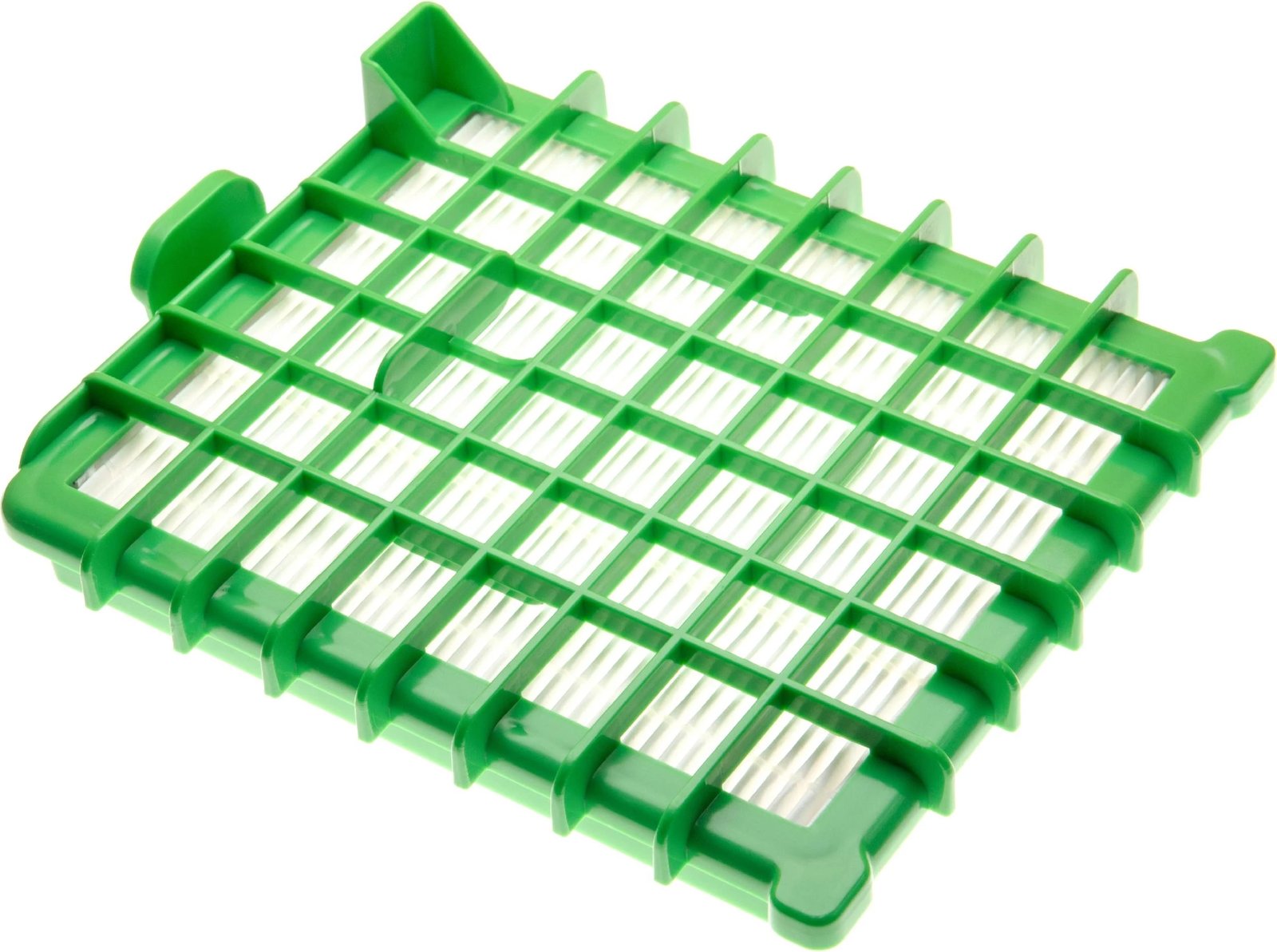 Filtër shkarkimi, Rowenta, ZR004801 BOX, High Filtration për RO54 X-Trem Power, jeshile