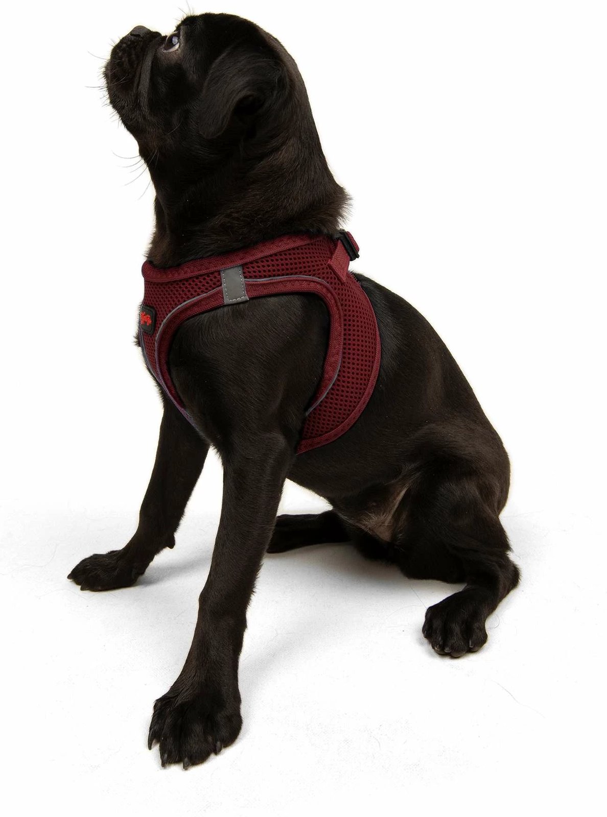 Parzmore për qen, Air-Mesh, ngjyrë e kuqe e errët (Claret Red)