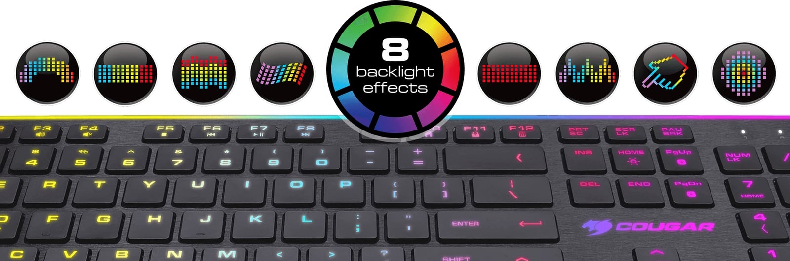 Tastier Vantar S Cougar