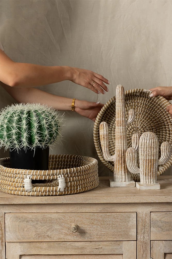 Dekor kaktusi ARIANE, polirezine, natyral-bardhë, 19x6x23cm