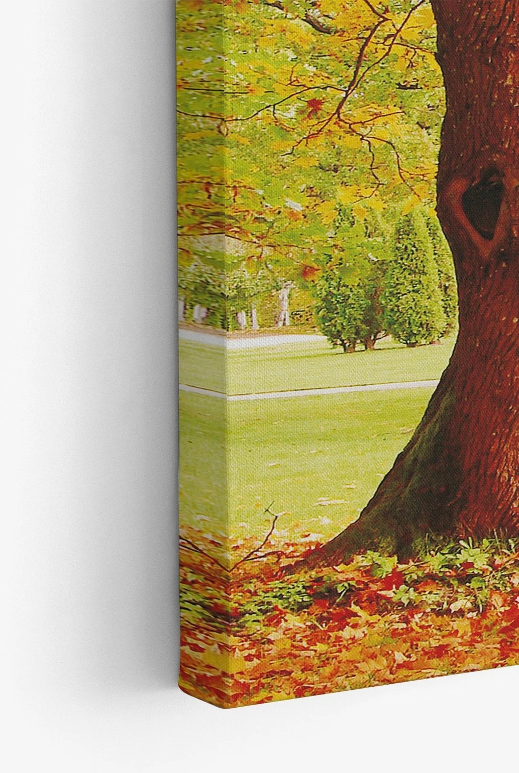 Pikturë dekorative në kanavacë, shumëngjyrëshe, Ersyfdc213, 70x100cm