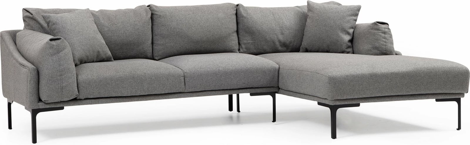 Këndare Leo, kënd i djathtë, ngjyrë gri