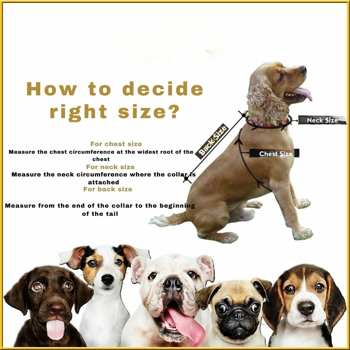 Bluze me kapuç për qen, e zezë, Danger