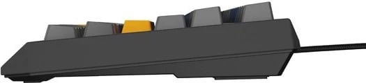 Tastaturë mekanike Genesis Thor 230 TKL, RGB, Outemu Panda, Naval Blue Tastaturë mekanike Genesis Thor 230 TKL, RGB, Outemu Panda, Naval Blue