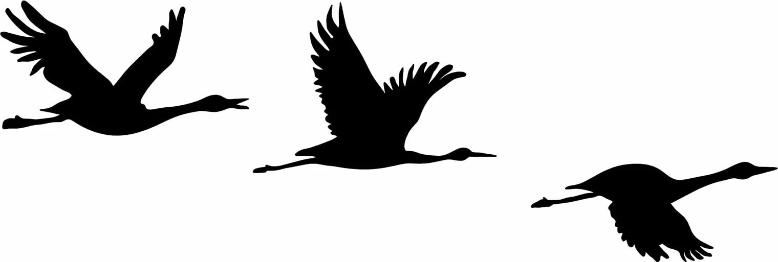 Aksesor dekorativ metalik për mur, zogj migrantë, ngjyrë e zezë, 3 copë, Wallity - 302