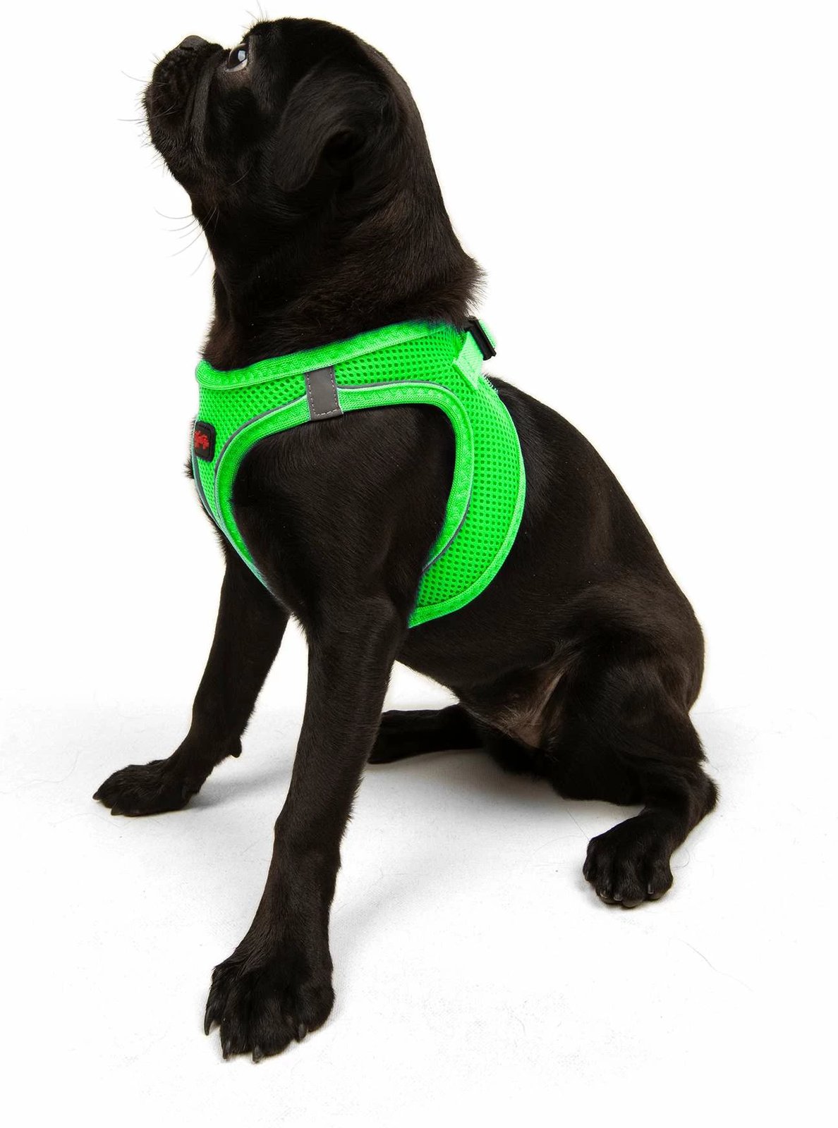 Parzmore për qen, Air-Mesh, ngjyrë Neo Green