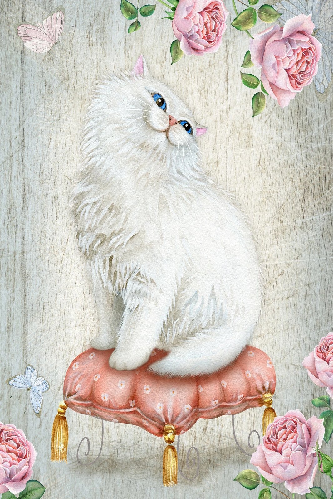 Set tapetesh për banjo (2 copë), Mijolnir, CT-5258