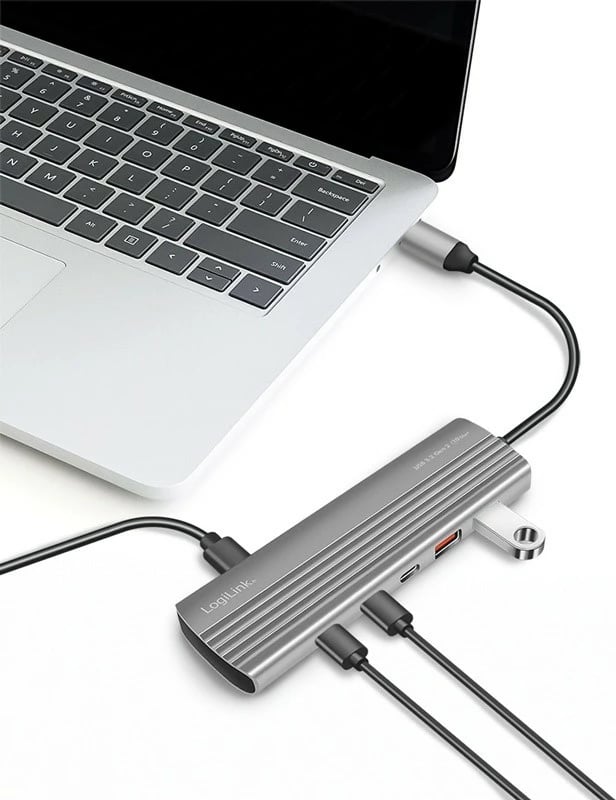 Hub USB-C LogiLink UA0413, 2x USB-A, 2x USB-C, PD 100W, Argjendtë