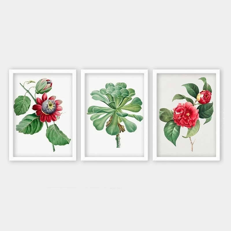 Pikturë dekorative me kornizë (3 copë), Wallity, 3BC_52096228_3545