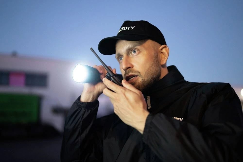 Elektrik dore ANSMANN Pro 3000R, LED, i zi
