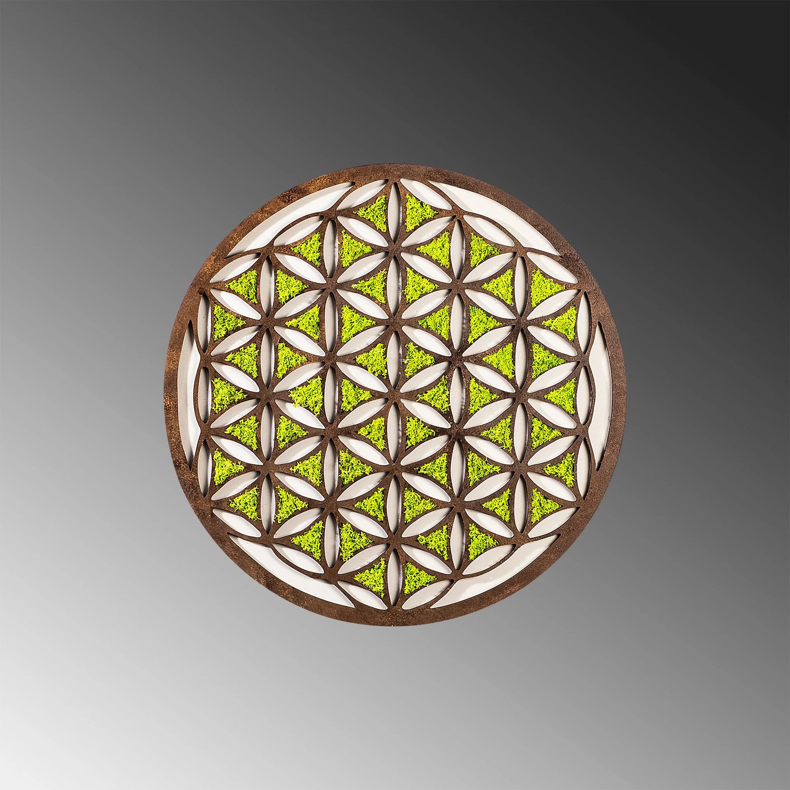 Aksesor dekorativ muri Wallity, gjeometrik, jeshil, kafe, bardhë Aksesor dekorativ muri Wallity, gjeometrik, jeshil, kafe, bardhë