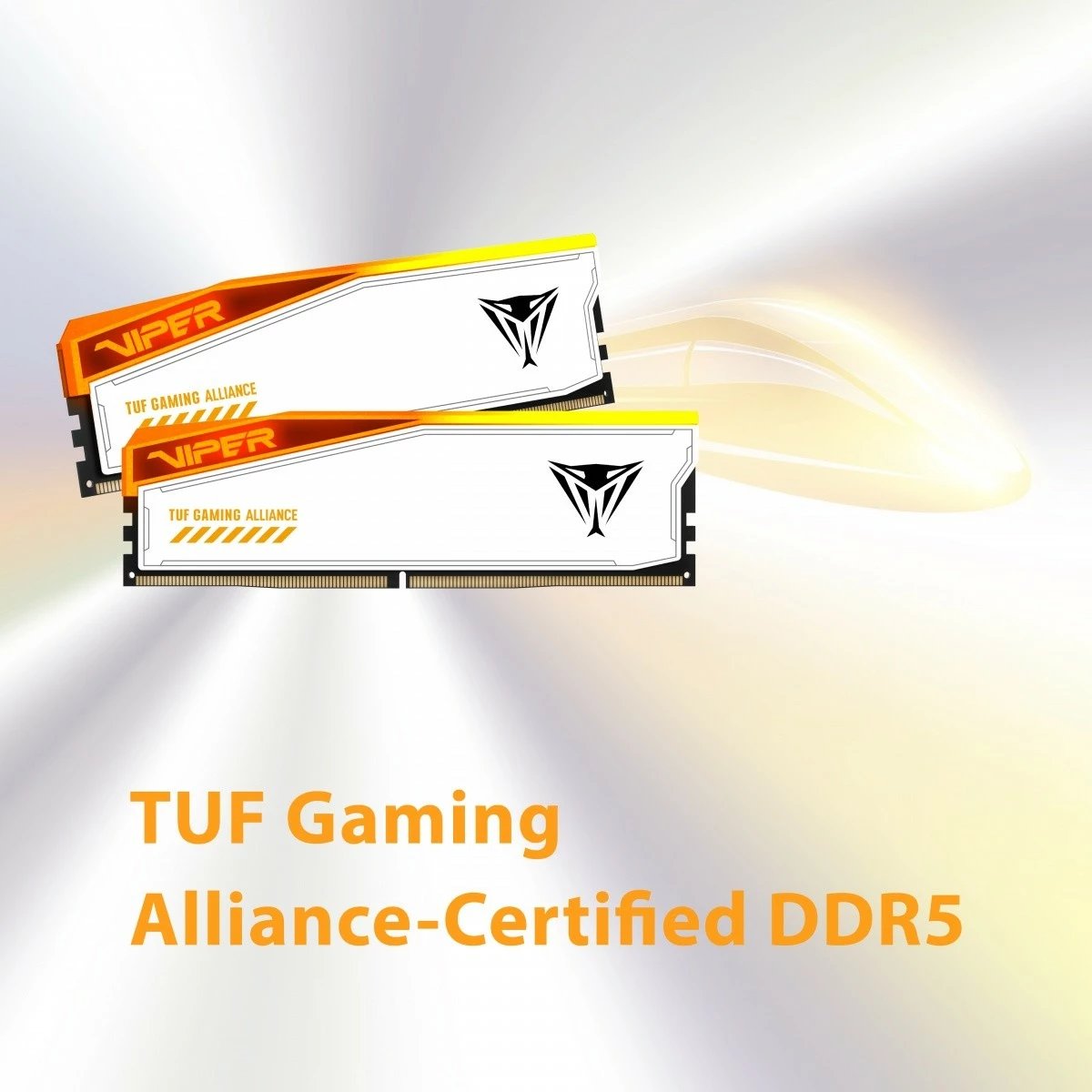 RAM Memorje Patriot Viper Elite 5 RGB TUF, 32GB (2x16GB), DDR5, 6600MHz, CL34, Bardhë