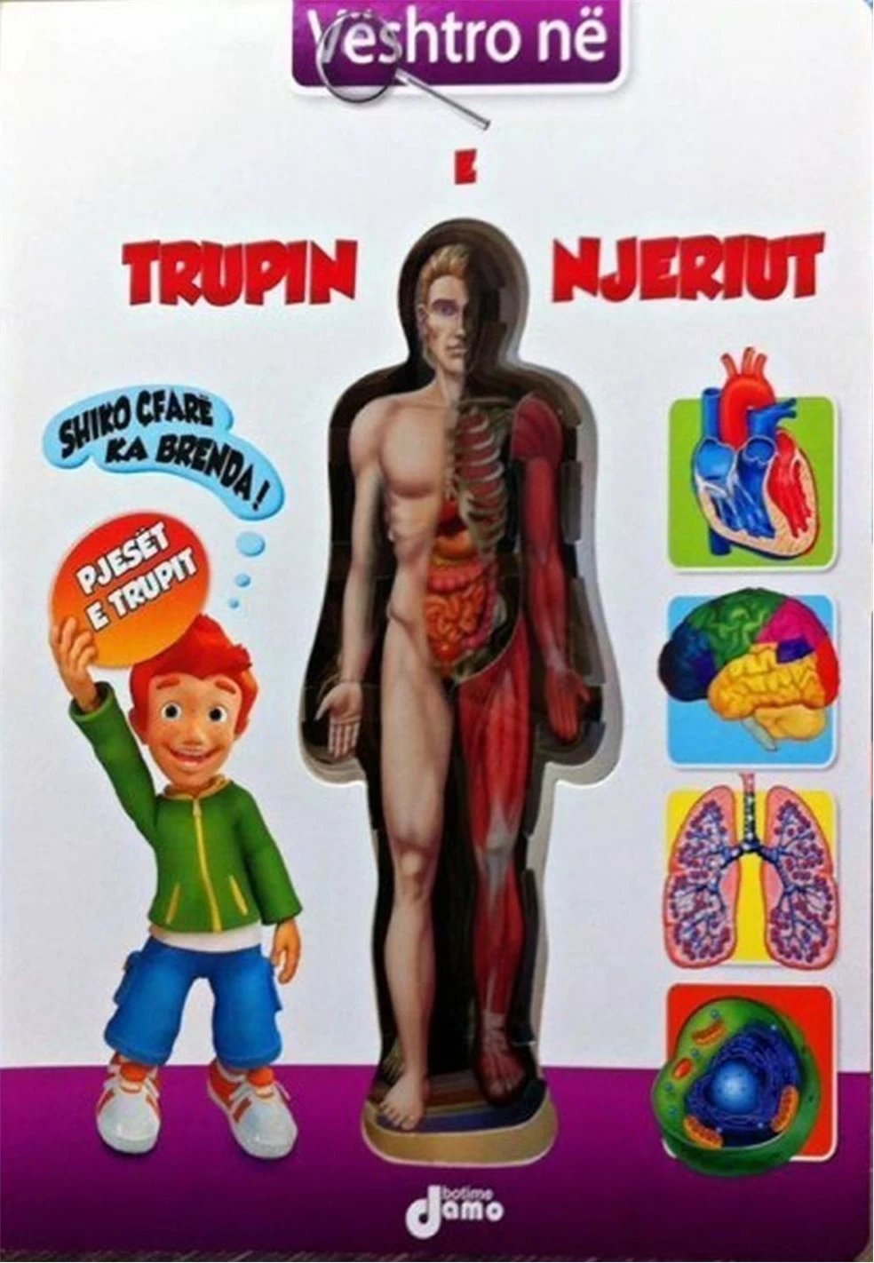 Veshtro Ne Trupin E Njeriut