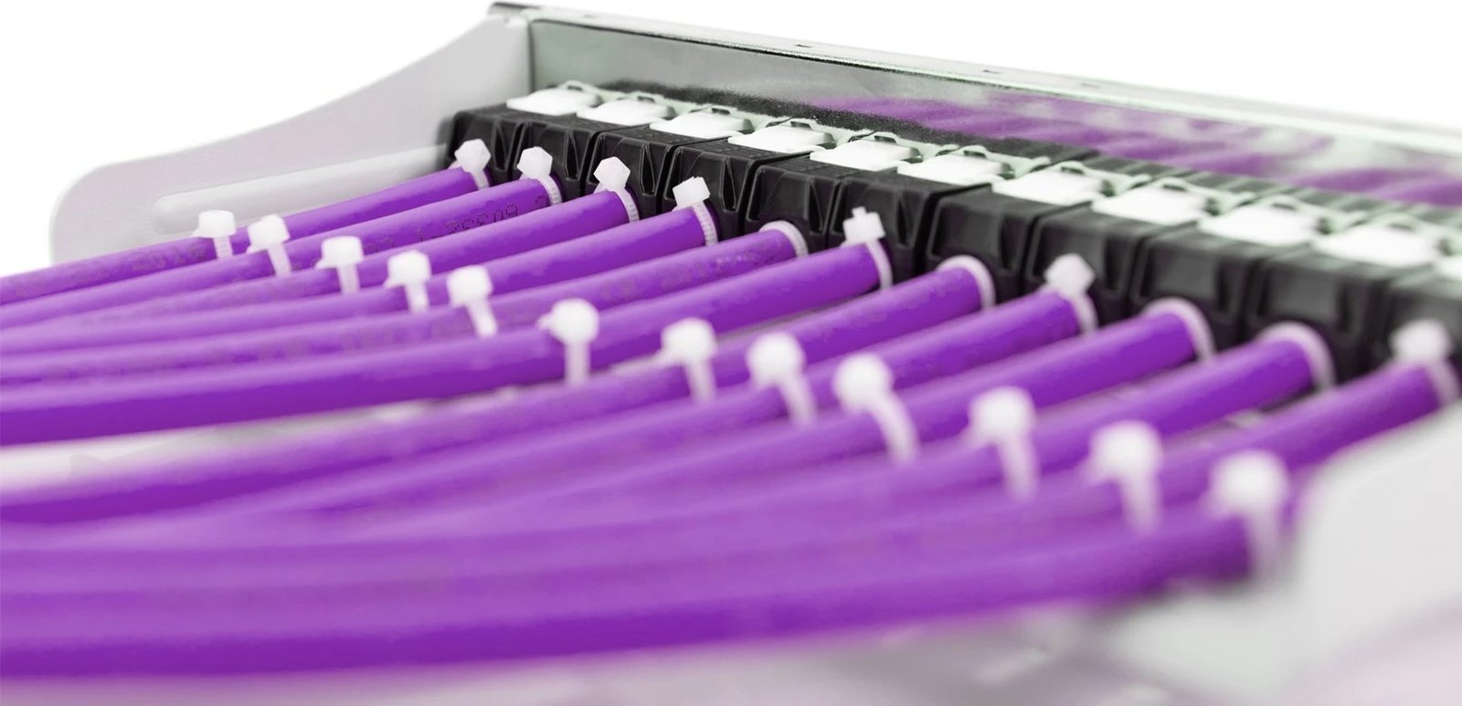 Kabllo rrjeti DIGITUS Cat6, 100m, U/UTP, LSZH, vjollcë