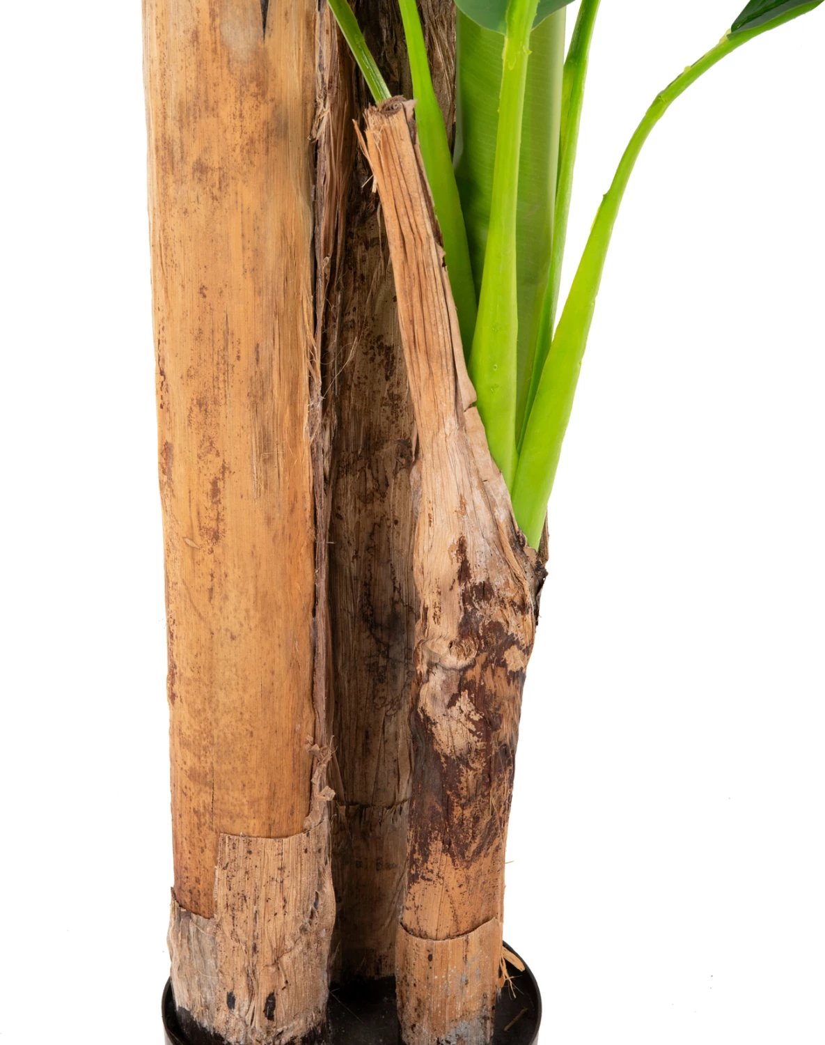 Bimë sintetike dekorative, pemë banane, FH7978, 200H cm