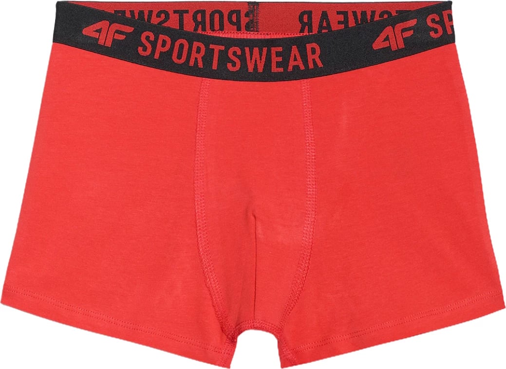 Të brendshme për djem 4F, shumëngjyrëshe Të brendshme për djem 4F, shumëngjyrëshe