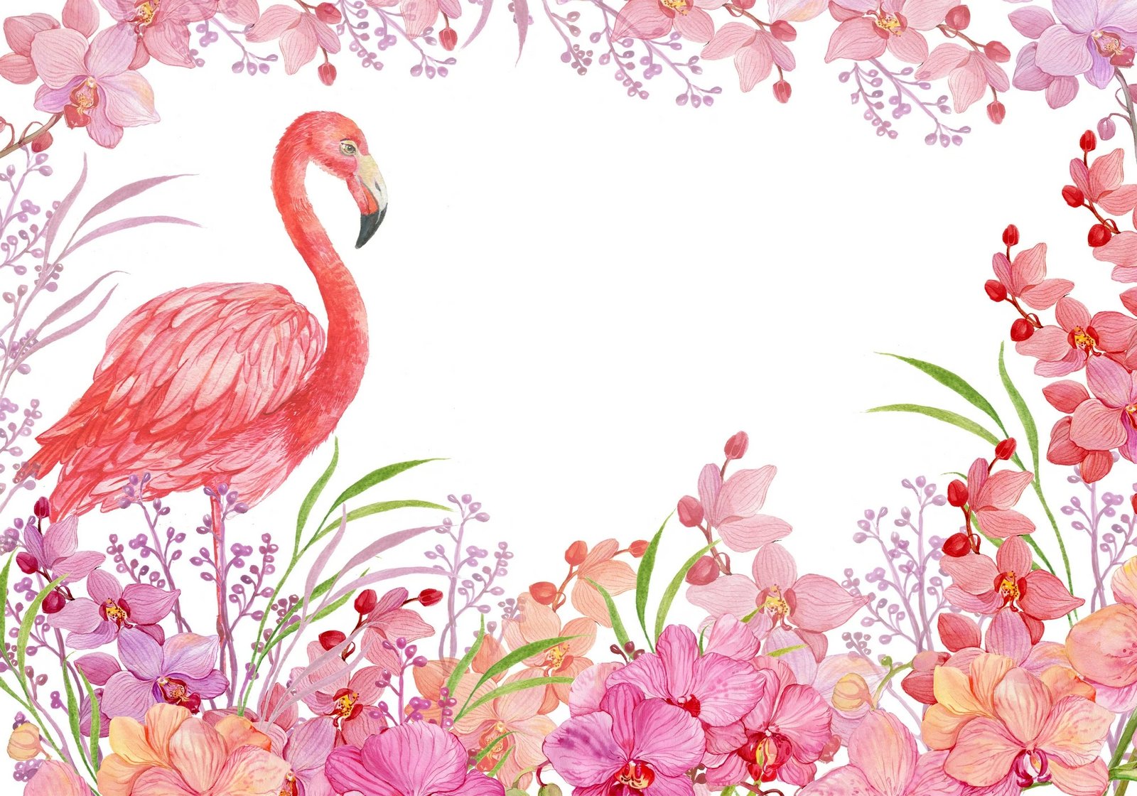 Set tapetash për banjo (2 copë), Mijolnir, CT-5214