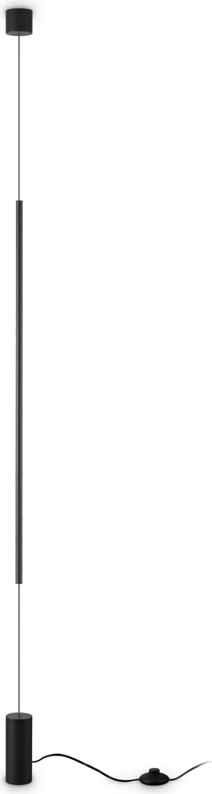 Llambat e murit  Filo pt 3000k