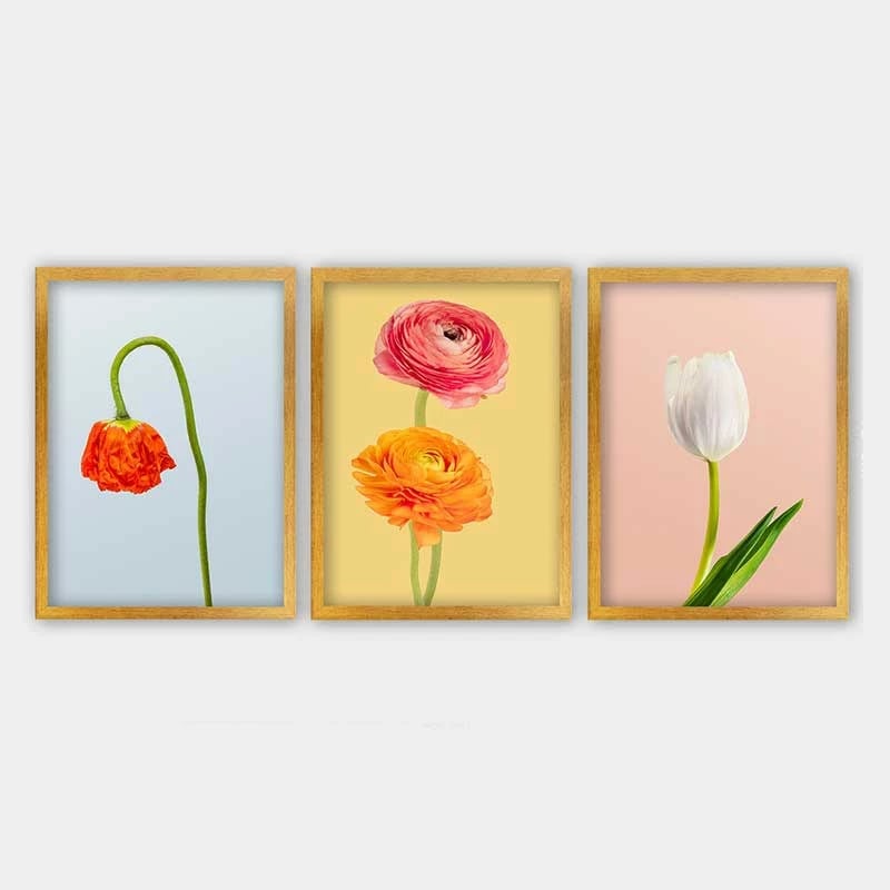 Pikturë dekorative me kornizë (3 copë), Wallity, 3AC_41955467_3545