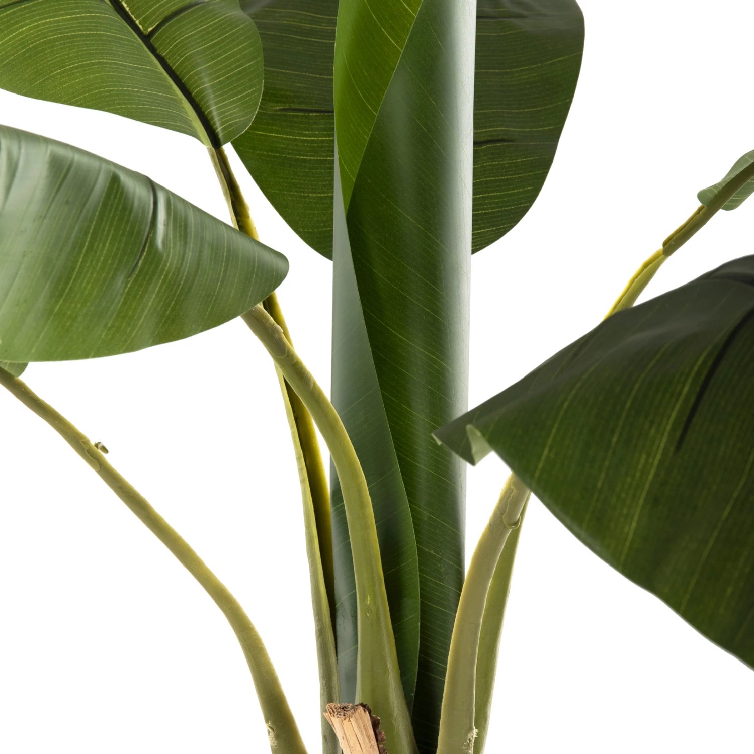 Bimë sintetike dekorative, pemë bananeje, FH7979, 180H cm