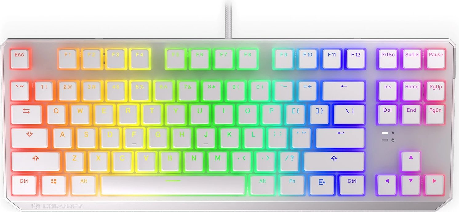 Tastierë gaming, Endorfy, TKL, RGB, e bardhë 