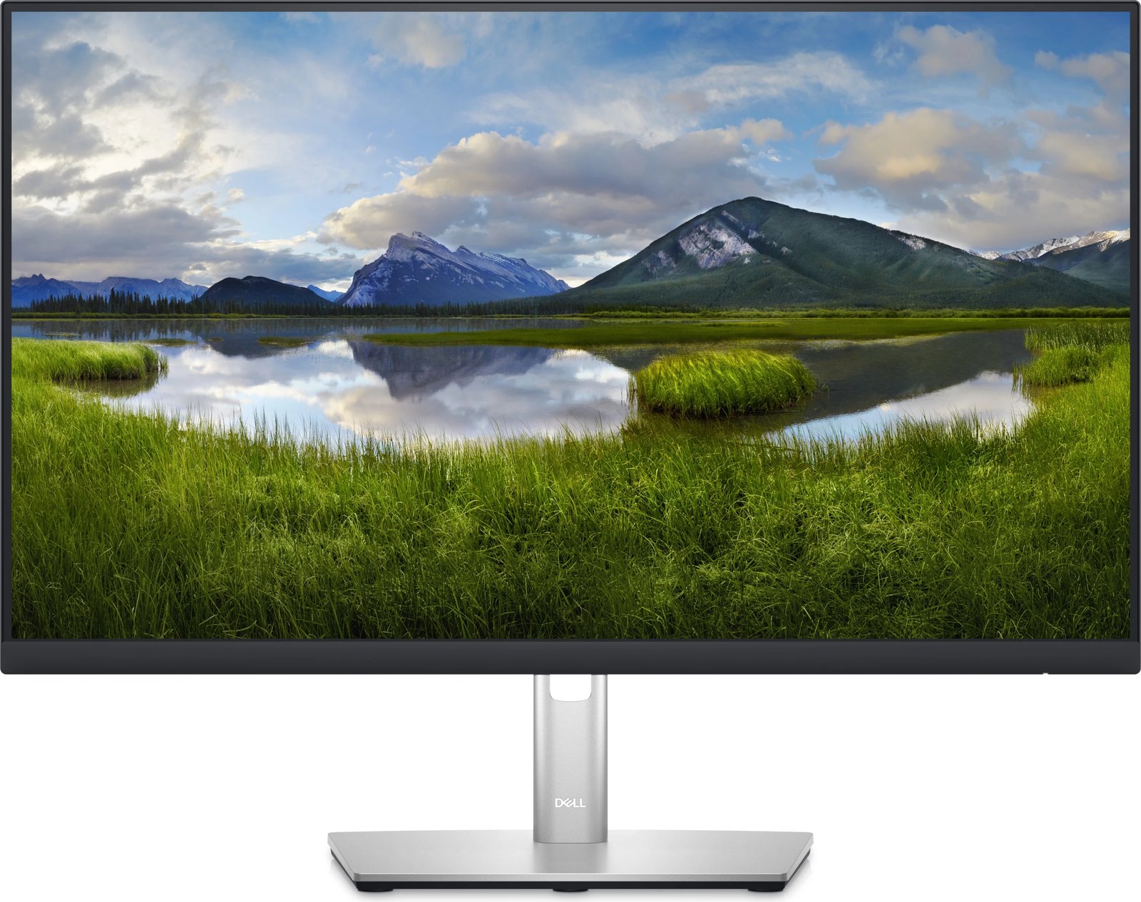 Monitor Dell P2423D, 23.8", QHD, 60Hz