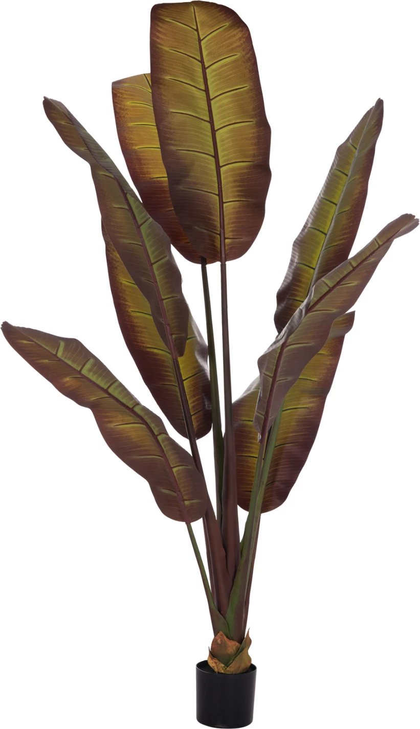 Bimë sintetike dekorative, banane japoneze, vazo, 85x75x225cm