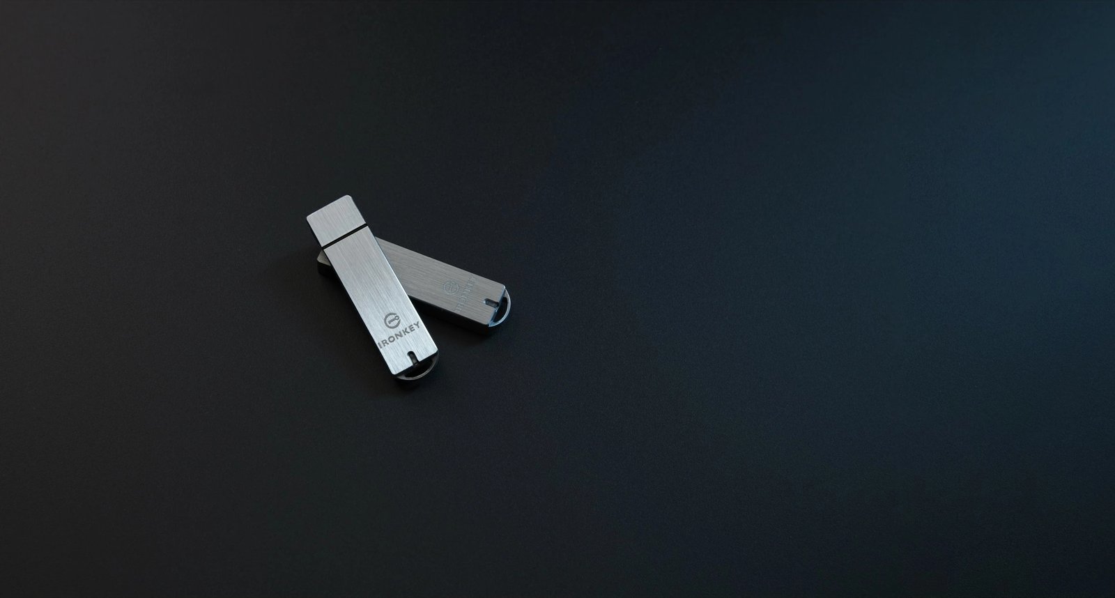 USB Kingston IronKey Enterpr S1000 64GB argjend