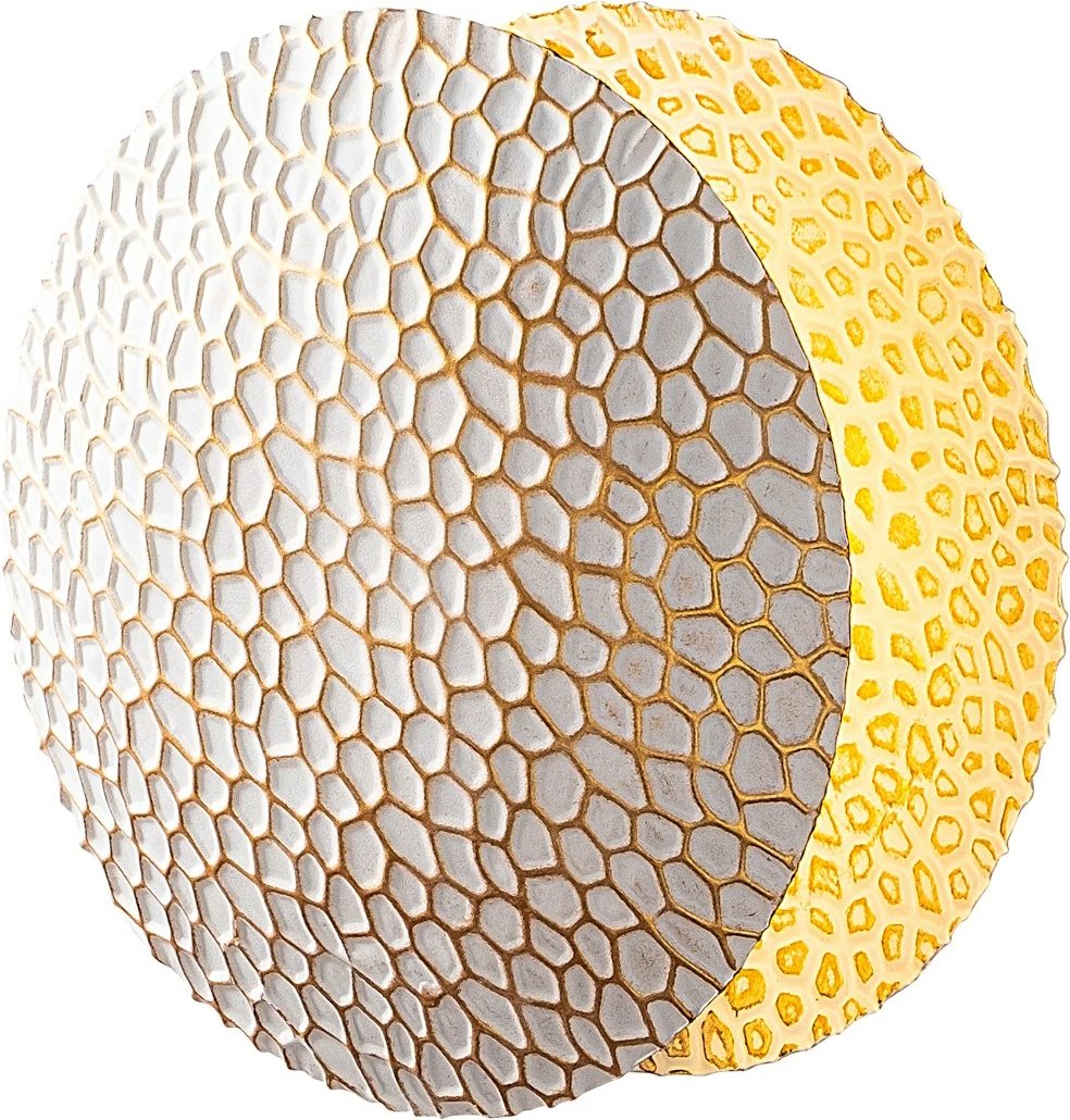 Llambë muri Opviq, Yosma-13646, e bardhë dhe e artë