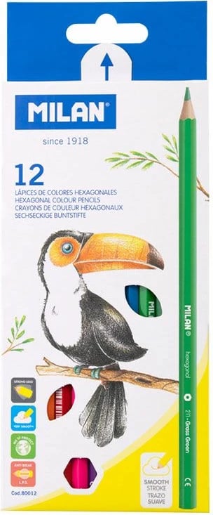 MILAN NGJYRA DRURI 1/12 80012