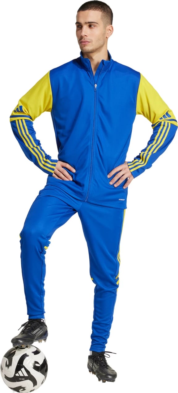 Duks për meshkuj adidas, kaltër-verdhë