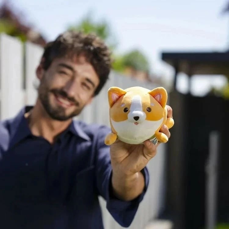 Legami Loder Pelushi Qenush Korgi Msc0005