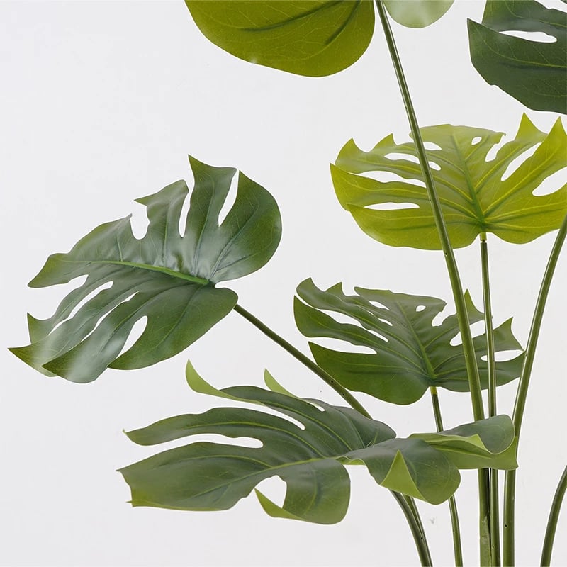 Bimë dekorative Deliciosa në vazo, e gjelbër, D94x120cm