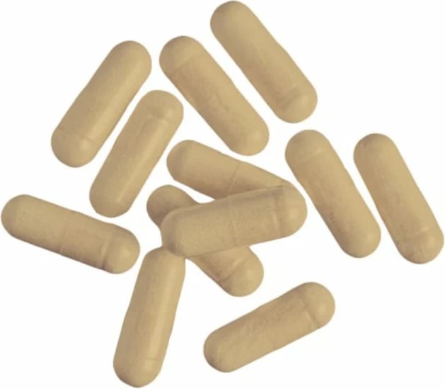 Thermobooster Compressed 60 Kapsula