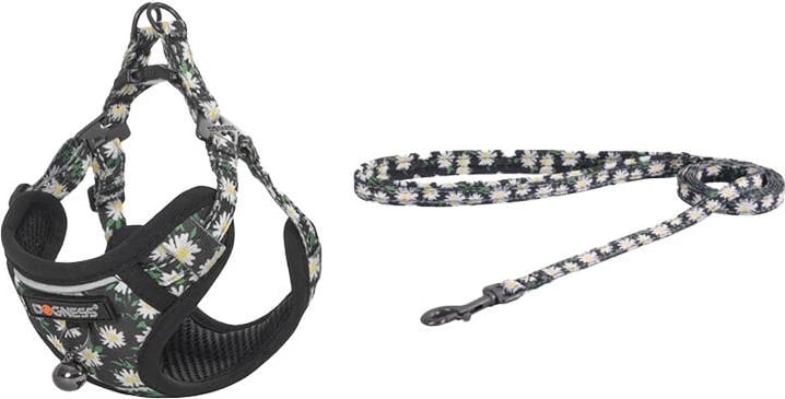 Set për ecje për mace Dogness CAT SET DAISY, litar 1.5m, multikolor