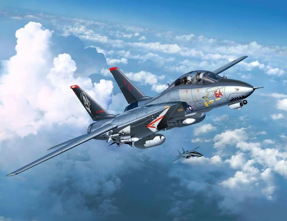Model aeroplani Revell Grumman F-14D Super Tomcat, 1:72, Alumini