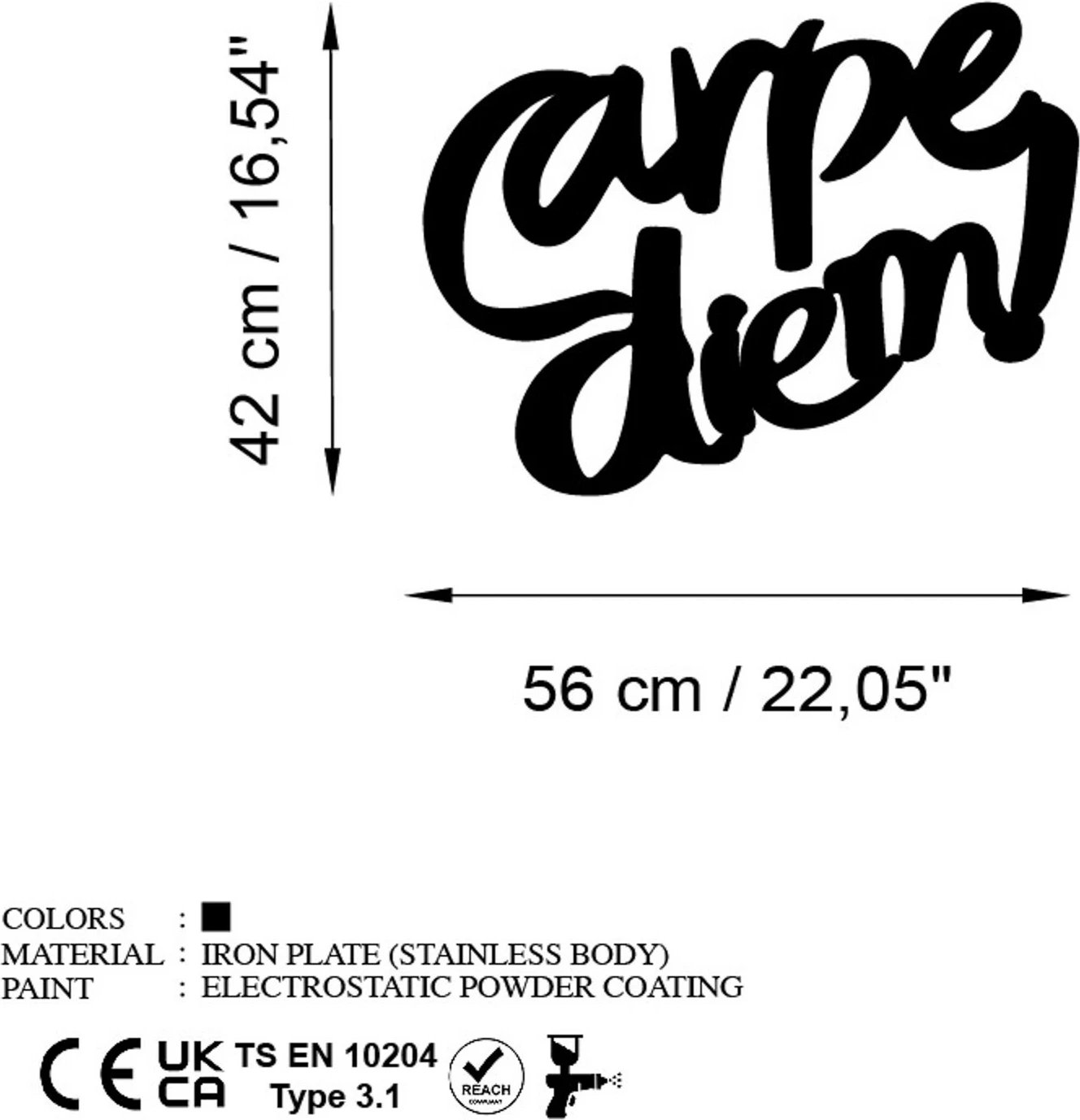 Aksesor dekorativ metalik për mur, Carpe Diem 5, ngjyrë e zezë, Wallity