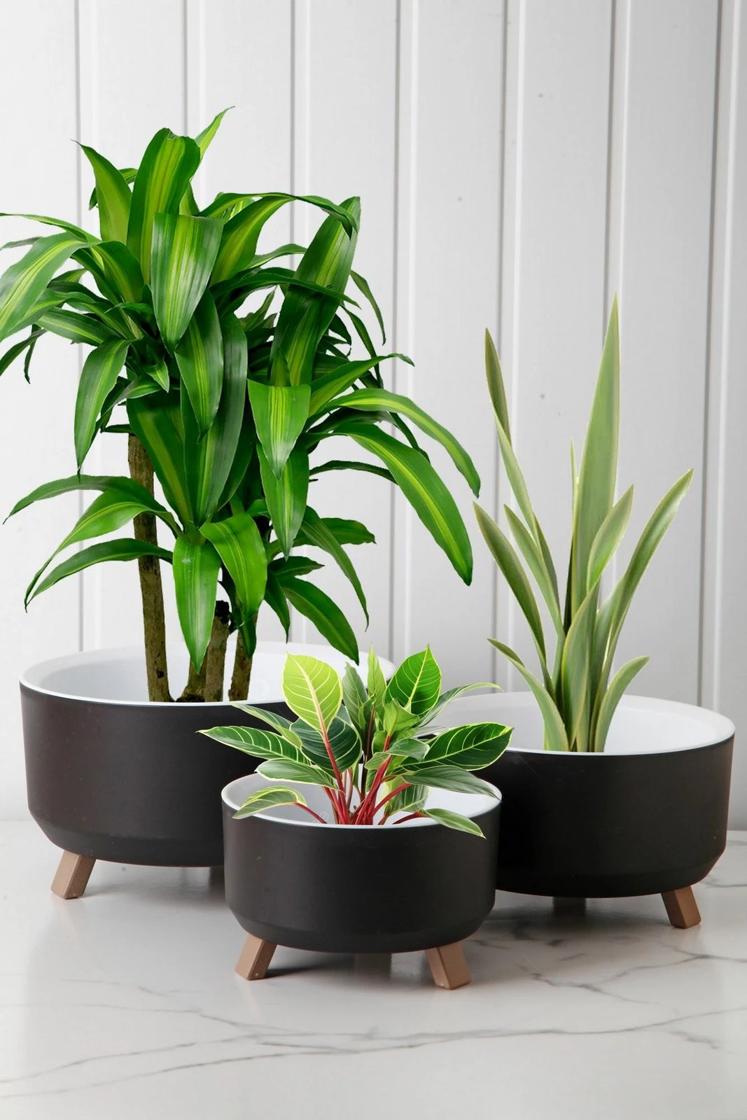 Set vazoje Aberto Design, TRPTSKS-2-3, ngjyrë e zezë, 3 copë