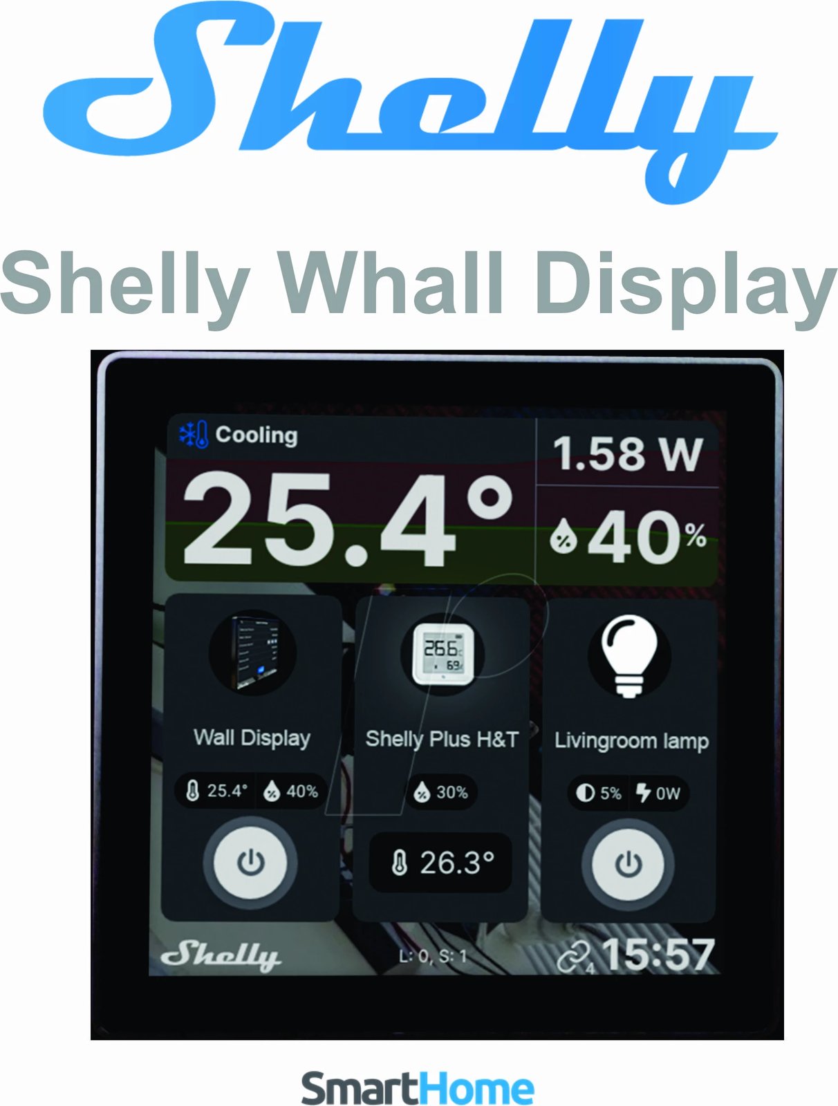 Shelly Wall Display | foleja