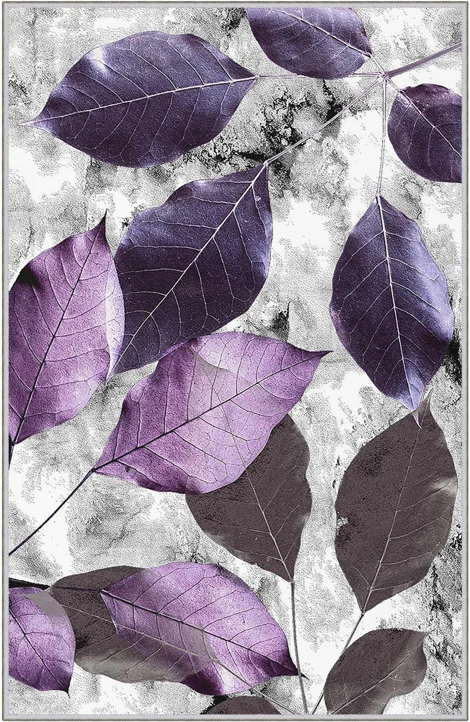 Qilim (80 x 120) Conceptum Hypnose, Hmnt572