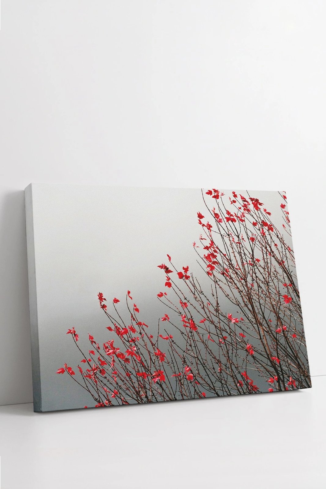 Pikturë dekorative në kanavacë, shumëngjyrëshe, Wallity Ersyfdc184, 70x100cm