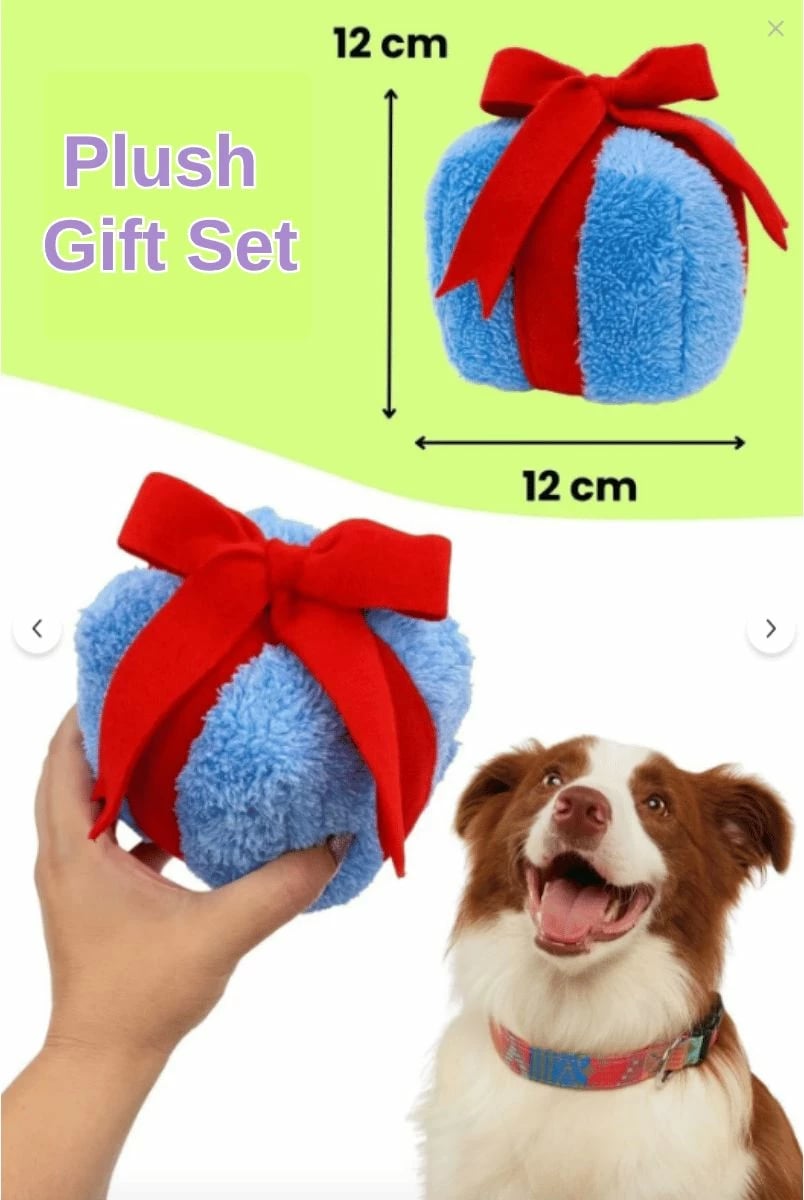 Set lodrash për qen, Paws & Whiskers, Havhav 1035, ngjyrë vjollcë, bardhë, kaltër