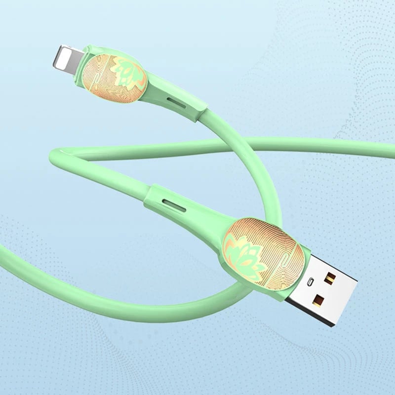 Kabllo E Karikimit LDNIO LS832 (Gjelbërt)