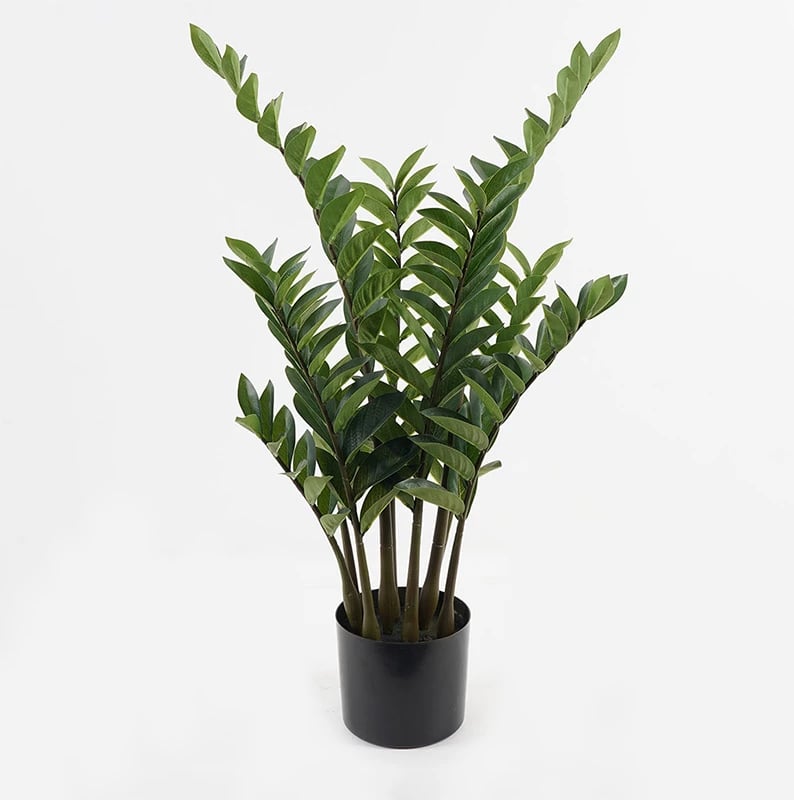 Bimë dekorative Zamia Inart, jeshile, 52x88cm