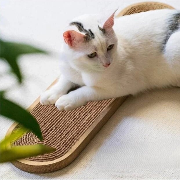 Dërrasë për gërvishtje për mace, Paws & Whiskers, Albero, bezhë dhe lis, 19x51x1.8cm