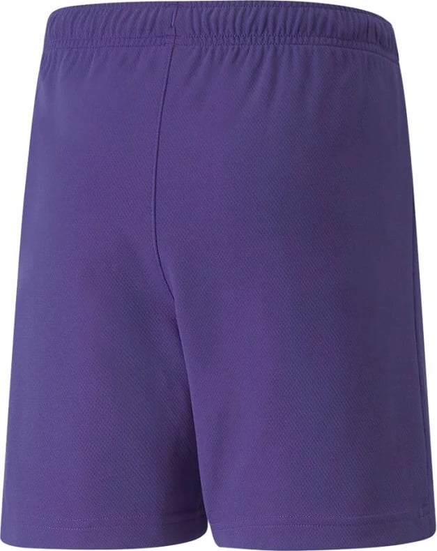 Shorce për djem Puma teamRISE, vjollcë