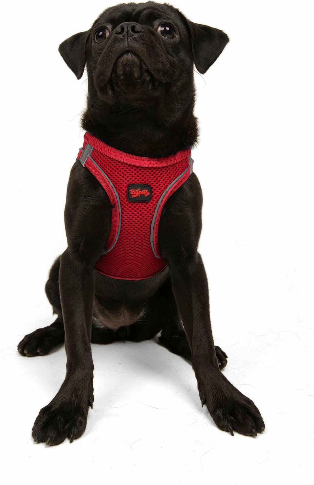 Parzmore për qen, ngjyrë garnet, Air-Mesh, Paws & Whiskers, XS