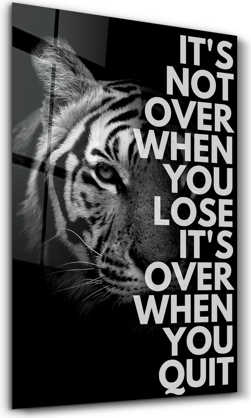 Pikturë dekorative prej xhami të temperuar, Wallity SPR-1048, 46x72 cm