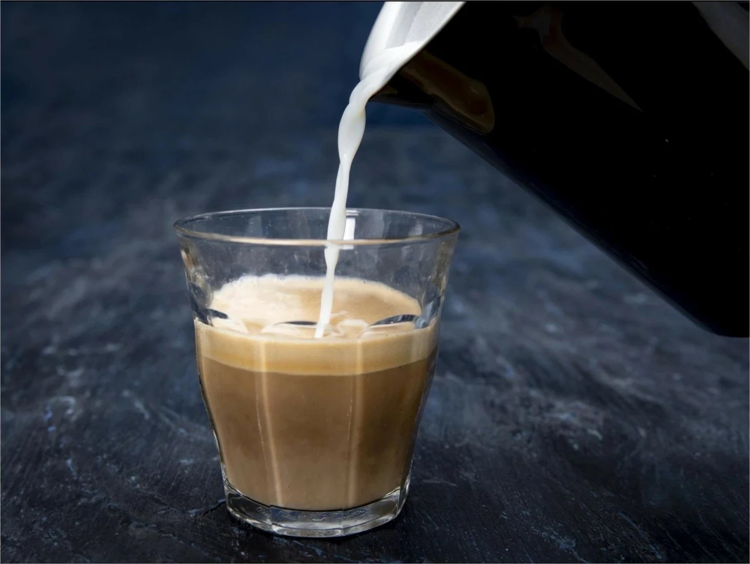 Pajisje elektrike Gastronoma 18150003, 300ml, 500W, e zezë