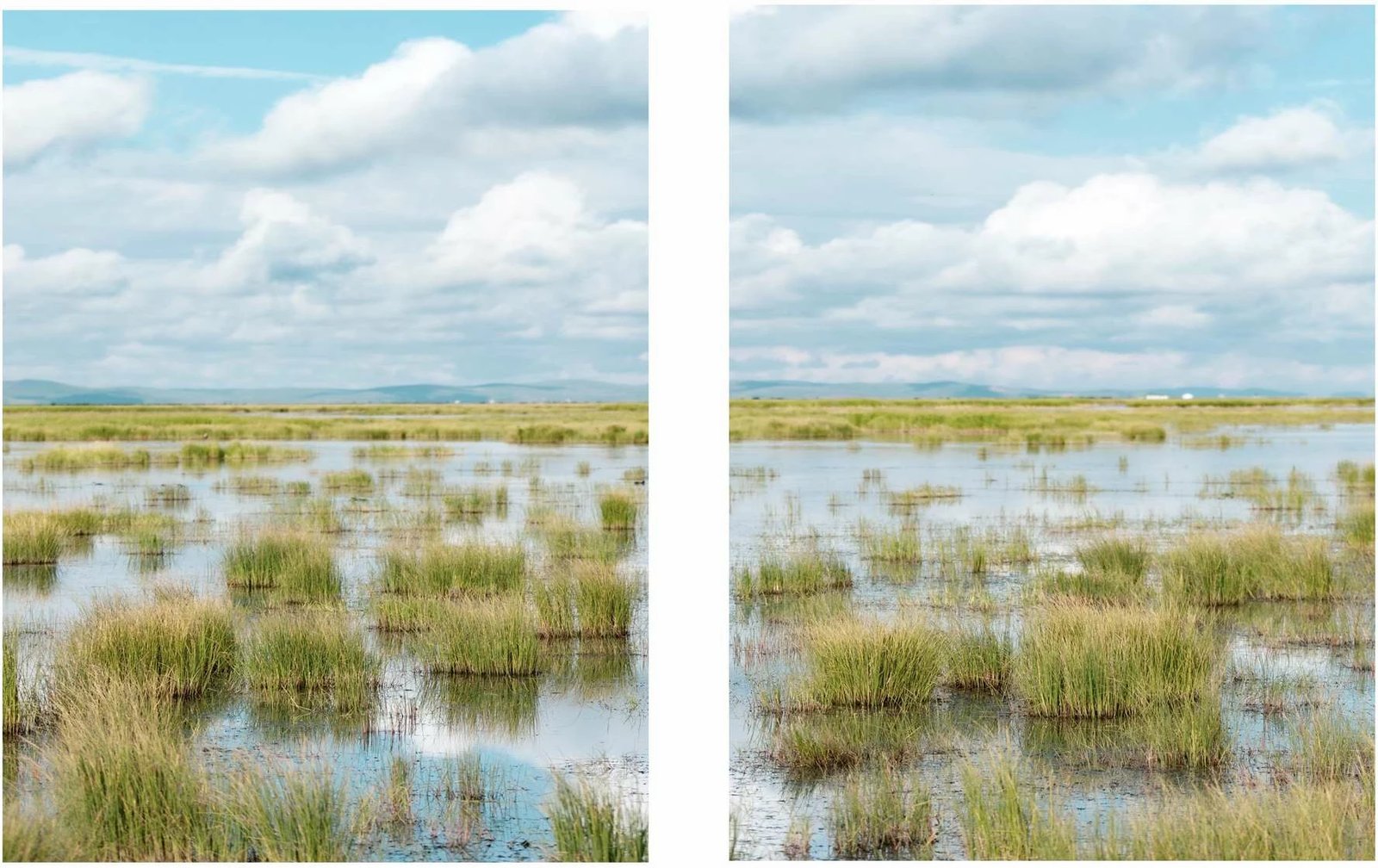 Pikturë dekorative me kornizë MDF (2 copë), Wallity, Mp2-00119, 21x30 cm